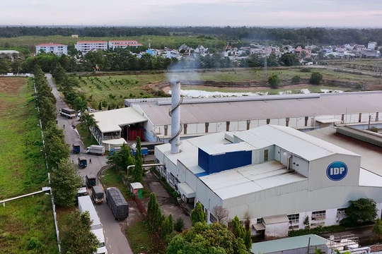 IDP rót 600 tỉ đồng lập công ty sữa ở Hưng Yên