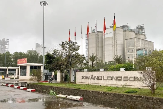 Long Sơn của ‘đại gia’ Trịnh Quang Hải mạnh cỡ nào?