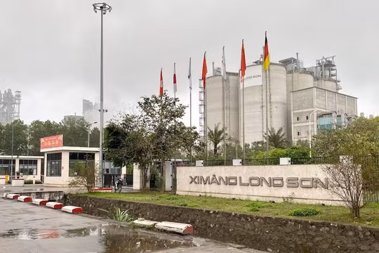 Long Sơn của ‘đại gia’ Trịnh Quang Hải mạnh cỡ nào?