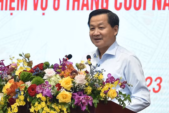 Phó Thủ tướng Lê Minh Khái (Ảnh: VGP)