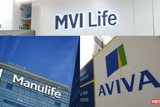 Bán bảo hiểm cho diễn viên Ngọc Lan, MVI Life làm ăn ra sao?