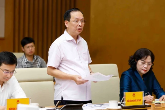 Phó Thống đốc NHNN Đào Minh Tú (Ảnh: VGP)