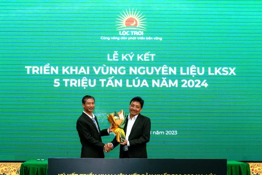 LTG 'bắt tay' loạt đối tác triển khai vùng nguyên liệu 300.000ha sản xuất 5 triệu tấn lúa năm 2024