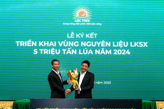 LTG 'bắt tay' loạt đối tác triển khai vùng nguyên liệu 300.000ha sản xuất 5 triệu tấn lúa năm 2024