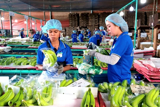 Công ty của 'bầu' Đức lãi nghìn tỉ đồng lần đầu tiên sau 8 năm