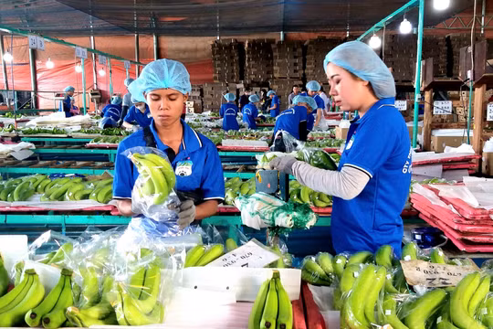 Công ty của 'bầu' Đức lãi nghìn tỉ đồng lần đầu tiên sau 8 năm