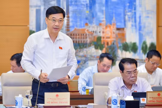 Chủ nhiệm Ủy ban Kinh tế của Quốc hội Vũ Hồng Thanh (Ảnh: quochoi.vn)