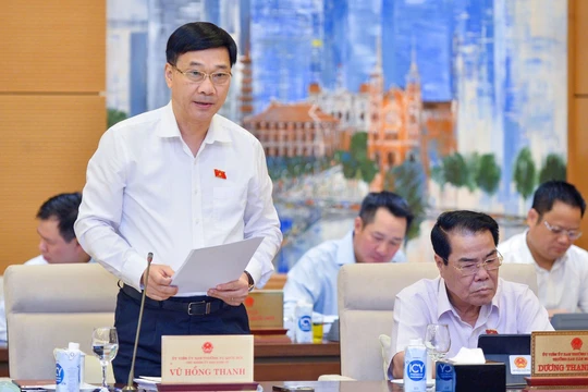 Chủ nhiệm Ủy ban Kinh tế của Quốc hội Vũ Hồng Thanh (Ảnh: quochoi.vn)