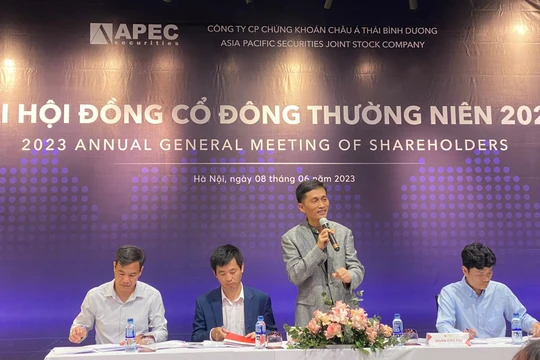 APS lỗ đậm với cổ phiếu API và IDJ