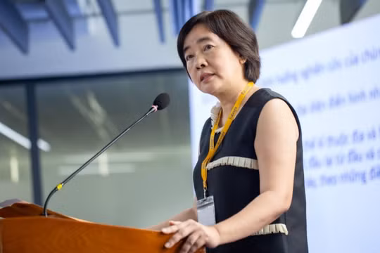 Bà Đàm Bích Thủy, Chủ tịch Đại học Fulbright Việt Nam (Ảnh: Fulbright Việt Nam)