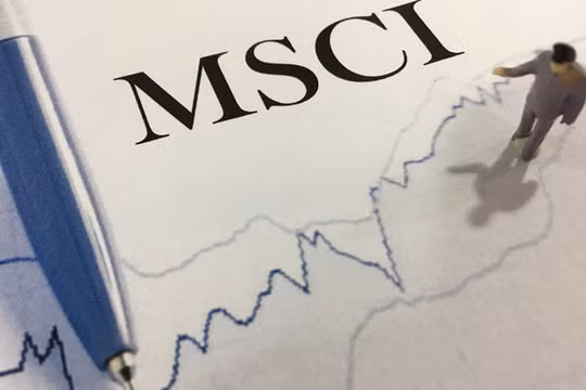 Ảnh minh họa. (Nguồn: Internet)