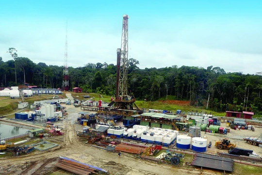 Doanh nghiệp nhà nước đầu tư ra quốc tế ngày càng lỗ 