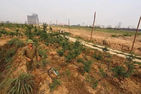 Việc xác định giá bồi thường là một trong những khúc mắc lớn nhất trong công tác giải phóng mặt bằng cho các dự án. Ảnh: Dũng Minh