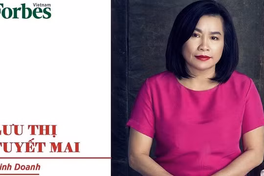 Lưu Thị Tuyết Mai Mesa Group