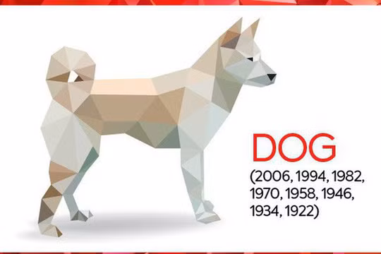 Nhìn lại 1 năm kinh doanh của các doanh nhân tuổi Tuất.