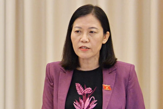 Chủ nhiệm Ủy ban Tư pháp Quốc hội đặt câu hỏi liệu đề nghị nâng mức vốn đầu tư dự án trọng điểm quốc gia để không phải trình ra Quốc hội?