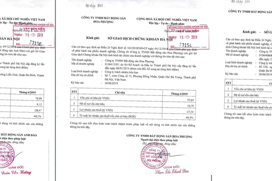Đồng cảnh lỗ của bộ 3 doanh nghiệp tên Hoa và câu hỏi về cách công bố thông tin.