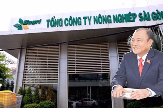Ông Lê Tấn Hùng bị đình chỉ công tác do có các sai phạm đã được Thanh tra TP. HCM và Kiểm toán Nhà nước phát hiện tại Sagri trước đó. (Ảnh: TNO)
