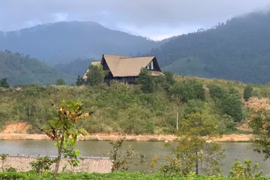 Chuyện kể từ trang trại M'Drắk: Đặng Lê Nguyên Vũ giờ ra sao?