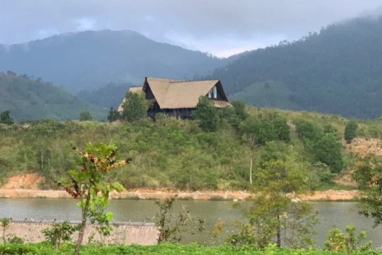 Chuyện kể từ trang trại M'Drắk: Đặng Lê Nguyên Vũ giờ ra sao?