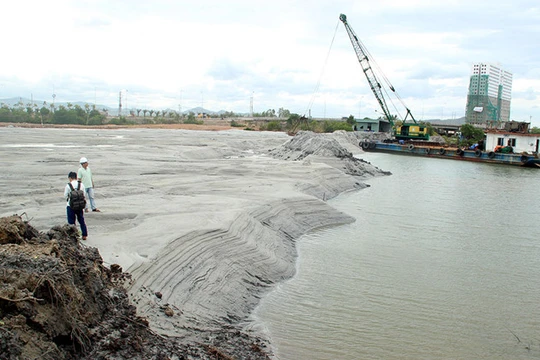 Rừng ngập mặn tại đầm Thị Nại bị san lấp để làm dự án du lịch sinh thái và biệt thự. (Ảnh: Thanh niên)