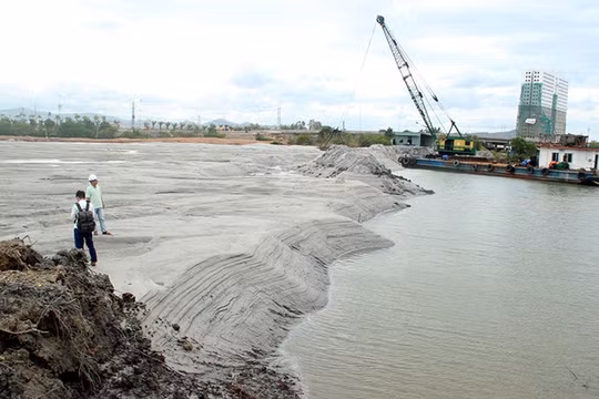 Rừng ngập mặn tại đầm Thị Nại bị san lấp để làm dự án du lịch sinh thái và biệt thự. (Ảnh: Thanh niên)