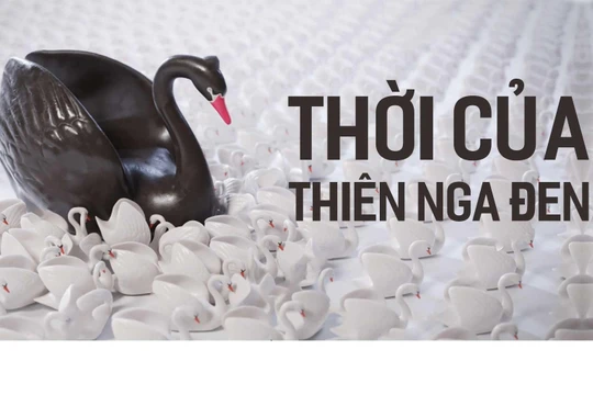 Thời của "thiên nga đen"