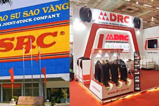 Tình cảnh trái ngược của 2 thương vụ đấu giá DRC và SRC có lẽ đến từ đất. SCR hấp dẫn vì nó có... "đất vàng".