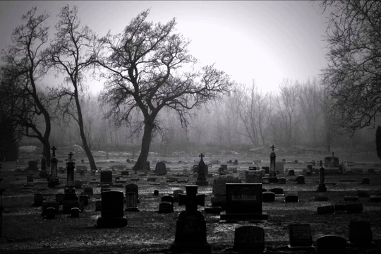 Ảnh minh họa - Nguồn: Internet