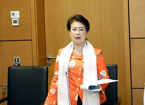 Bà Phan Thị Mỹ Thanh. Ảnh TTXVN