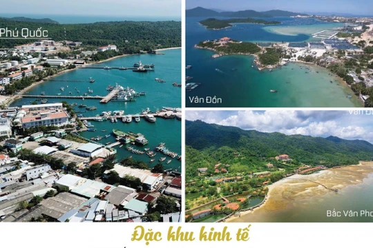 Ảnh minh họa - Nguồn Internet