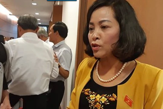 Bà Nguyễn Thị Thanh, Bí thư Tỉnh ủy tỉnh Ninh Bình