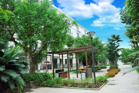 Pandora - Vỡ òa cảm xúc