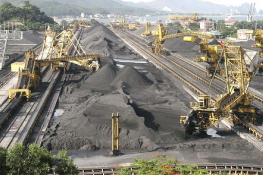 Cơ quan thanh tra đã phát hiện hàng loạt vi phạm của ban lãnh đạo TKV và các đơn vị thành viên trong việc quản lý tài chính, đầu tư góp vốn cũng như quản lý sử dụng đất đai, tài nguyên với giá trị sai phạm lên tới hàng nghìn tỷ đồng. 