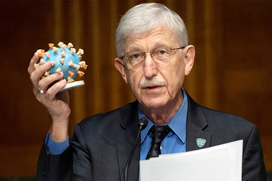 Tại một phiên điều trần về vaccine Covid-19, ông Francis Collins, Giám đốc Viện Sức khỏe Quốc gia (NIH) đưa ra mô hình của virus đang gây nên đại dịch toàn cầu. Ảnh: AP.