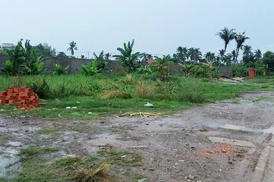 lô đất bị phân lô bán nền trái phép ở Quận 12, TP.HCM.