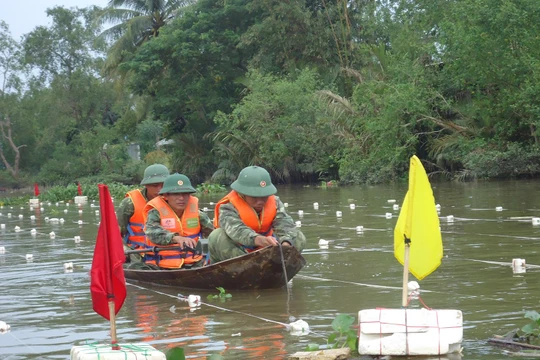Các cán bộ, chiến sĩ của Lữ đoàn 299 đang tác nghiệp rà, phá bom, mìn, vật nổ tồn sót sau chiến tranh dưới nước tại huyện Hoài Nhơn, Bình Định.