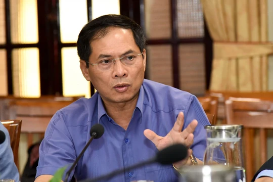Thứ trưởng Bộ Ngoại giao Bùi Thanh Sơn.