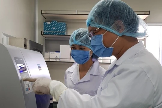 Vận hành chiếc máy tách chiết ADN tự động.