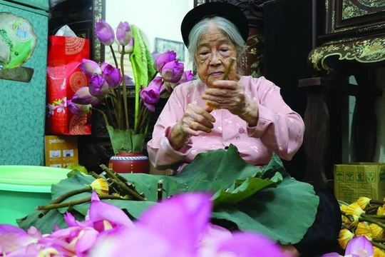 Lão nghệ nhân Nguyễn Thị Dần cả đời gắn bó với loài sen Bách Diệp hồ Tây.