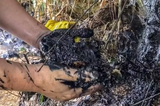 Lượng lớn dầu thải đổ xuống đầu nguồn nước sạch sông Đà đã khiến 300.000 hộ gia đình Hà Nội "chao đảo" vì thiếu nước sạch sinh hoạt.