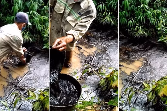 Ước tính dung tích dầu thải đổ trộm khoảng 10m3.