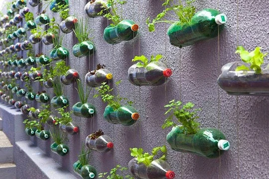 Chống rác thải nhựa thúc đẩy kinh tế tuần hoàn.