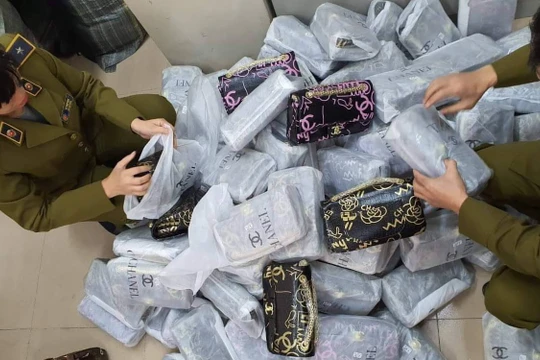 Hiện trường thu giữ, kiểm đếm tang vật.