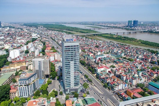 Ảnh minh họa (Nguồn: Internet)