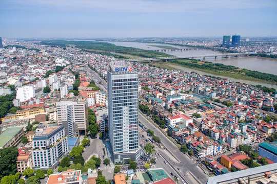 Ảnh minh họa (Nguồn: Internet)