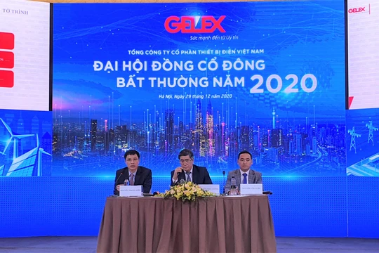 Ban chủ toạ điều hành ĐHĐCĐ bất thường năm 2020 của Gelex