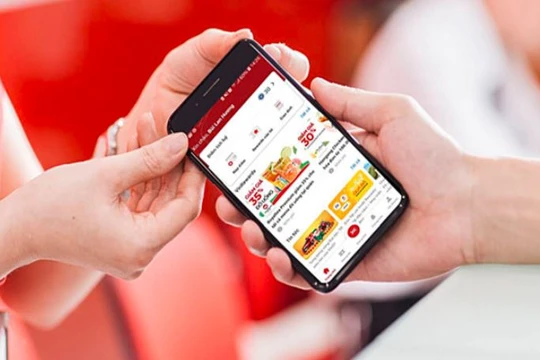 Ảnh minh họa (Nguồn: vinid.net)