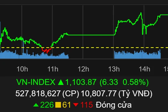 VN-Index chốt năm 2020 trên 1.100 điểm (Ảnh chụp màn hình - Nguồn: TVSI)
