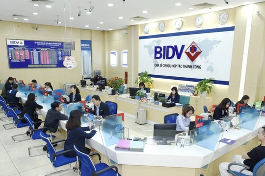 Ảnh minh họa (Nguồn: Internet)